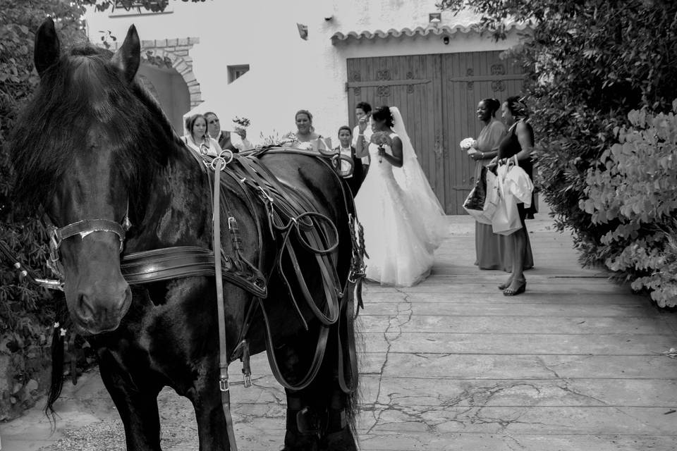 Wedding laly & christophe