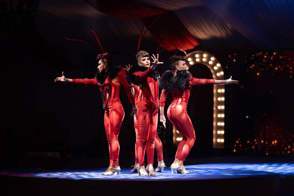 Circus