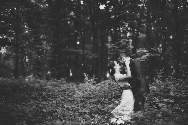 Amour