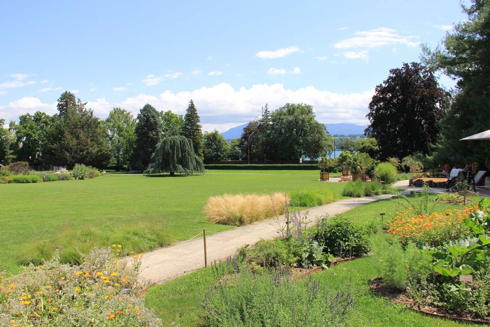 Vue Jardin botanique