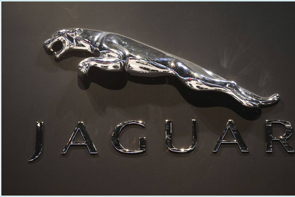 Jaguar