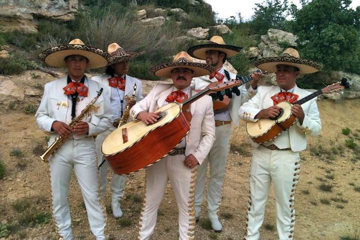 Mariachis (les vrais)