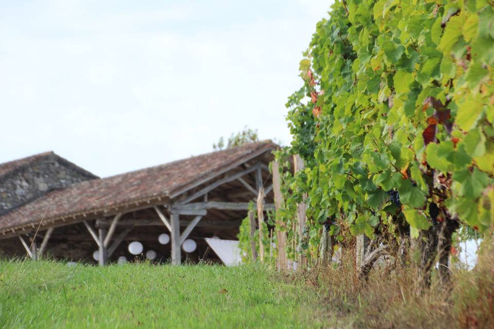 Vue domaine