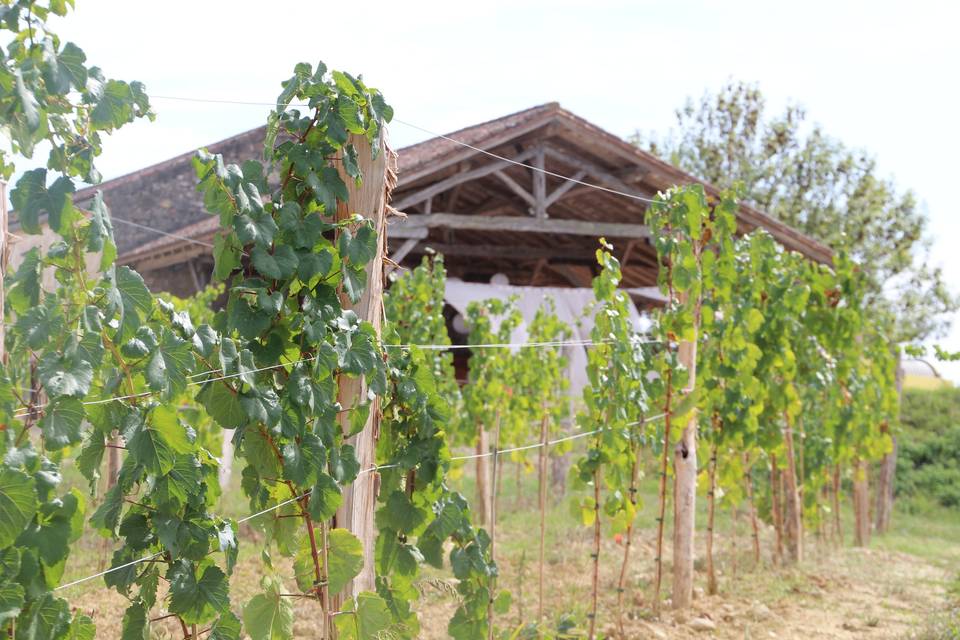Vue domaine