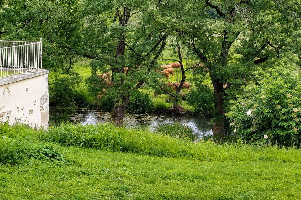 La vallée de la Seugne