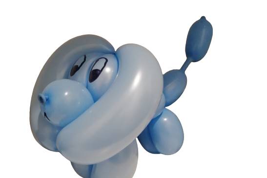Chien en ballon