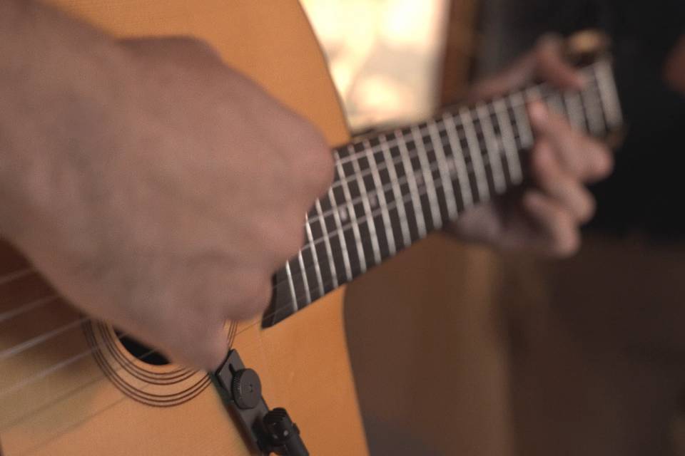 Copaíba Trio