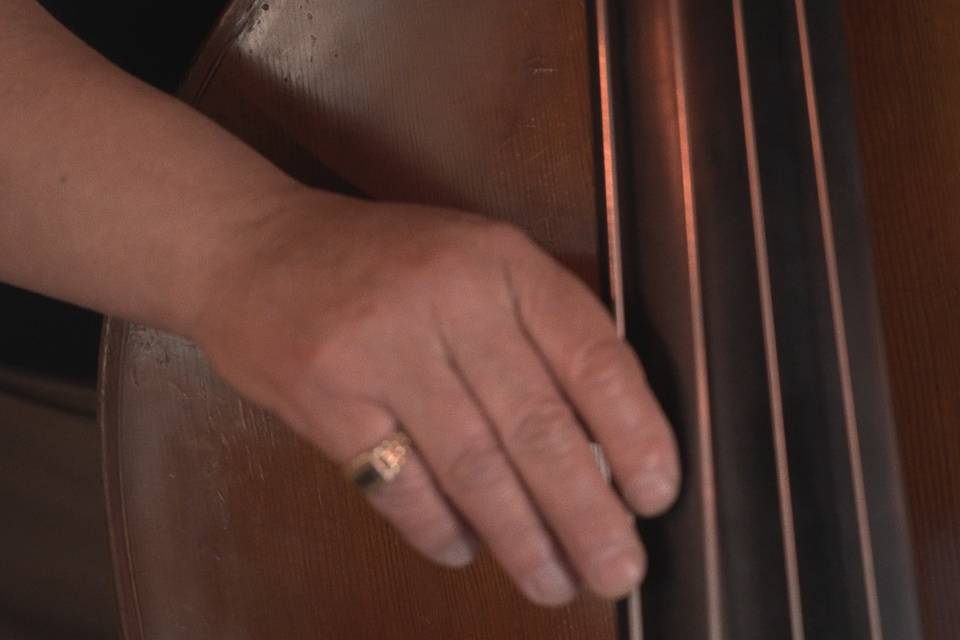 Copaíba Trio