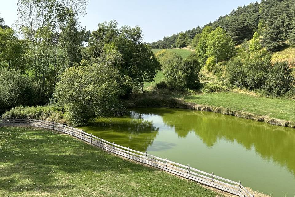 Vue sur l'étan