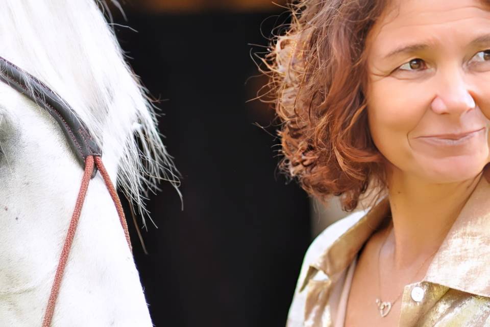 Horse Connect40 Events