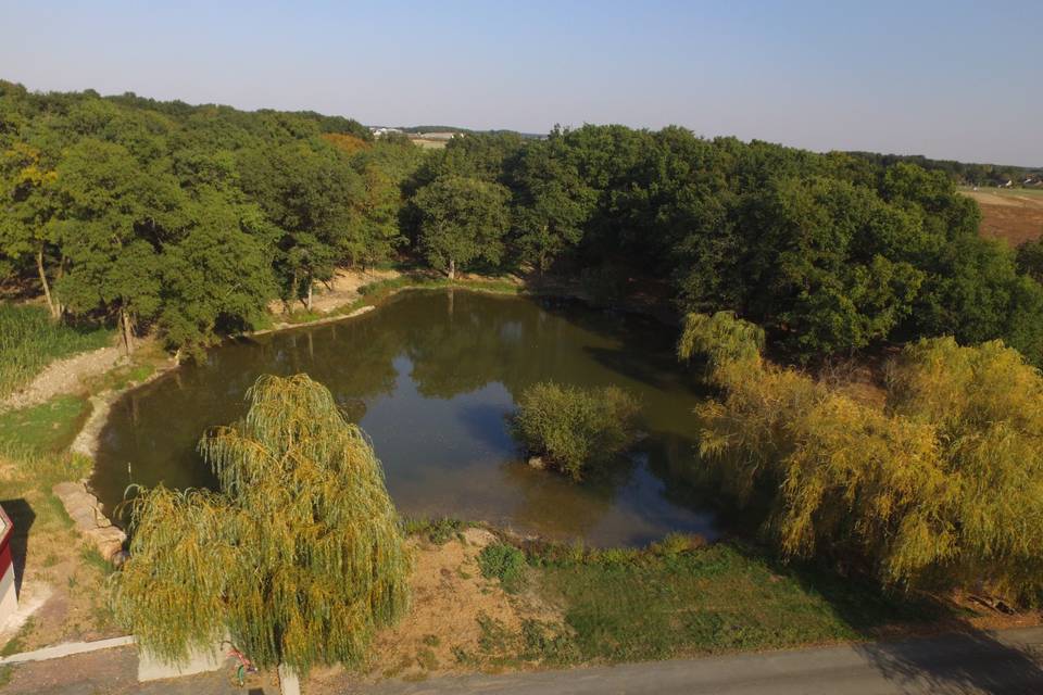 Etang pour cérémonie laique