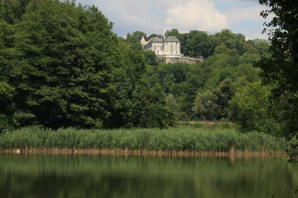 Le Château de Reynel