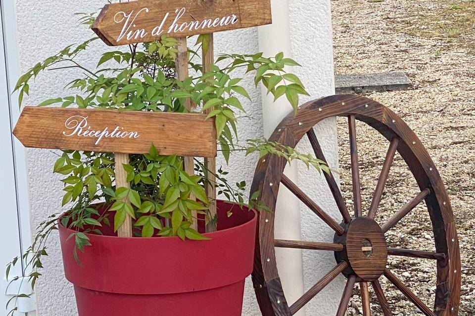 La Féérie des Libellules