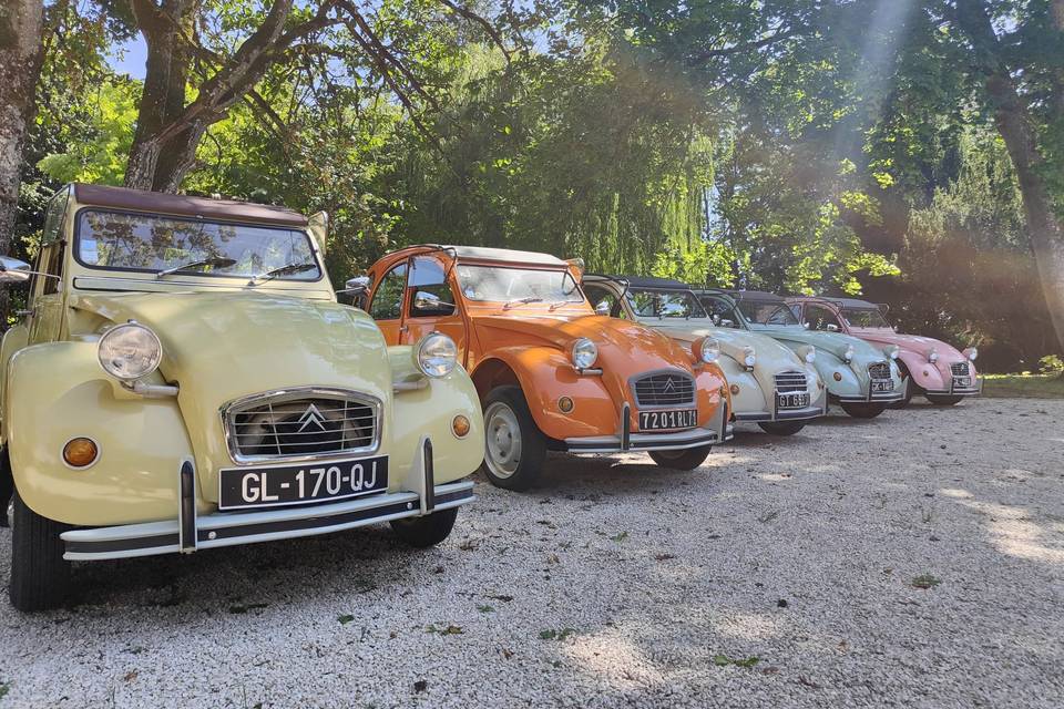 Flotte de 6x2CV (2)