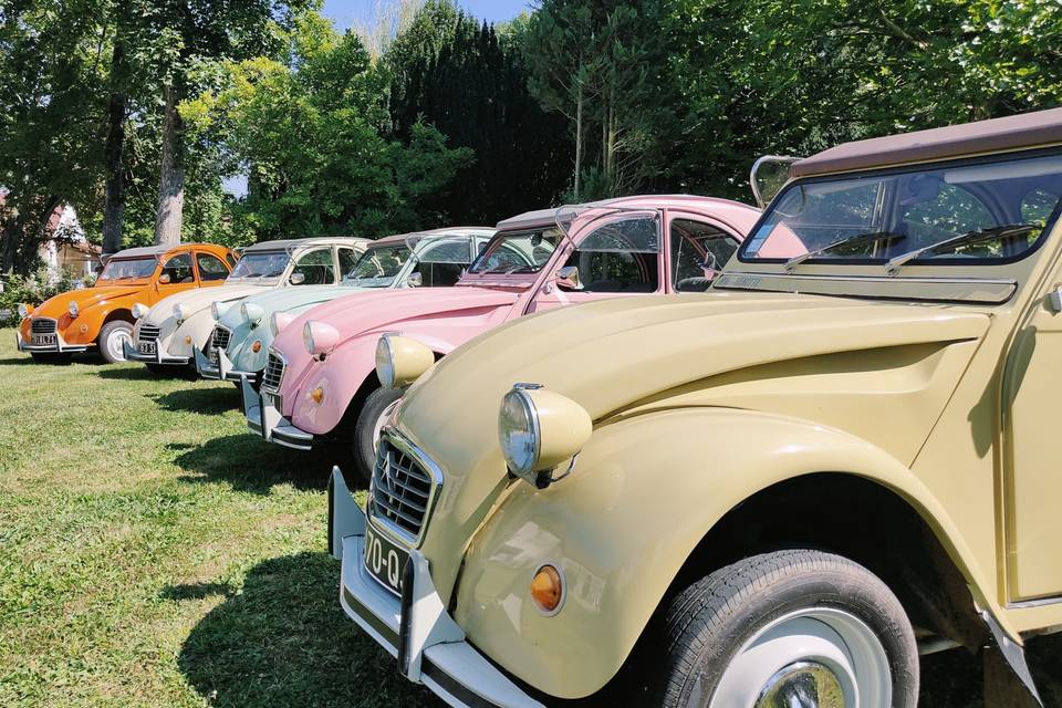 Flotte de 6x2CV (3)