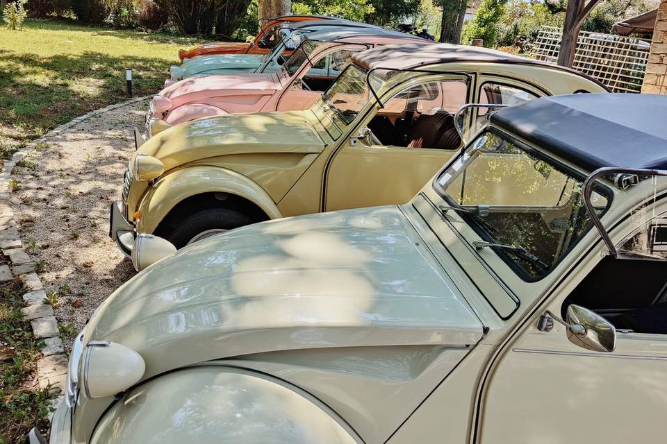 Flotte de 6x2CV (1)
