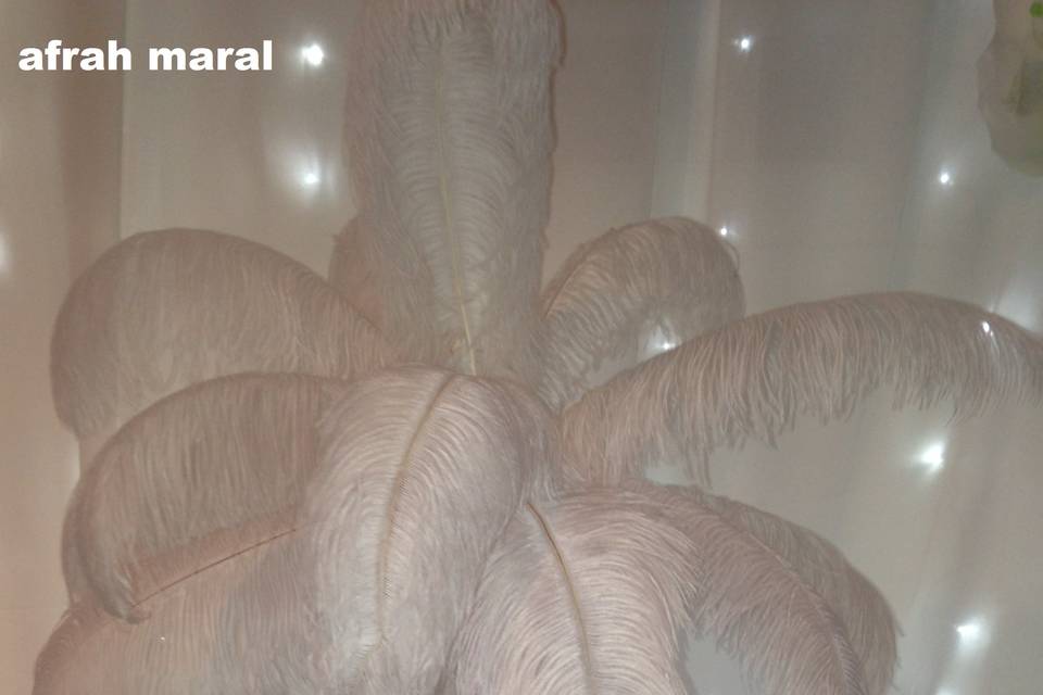 Maral Events