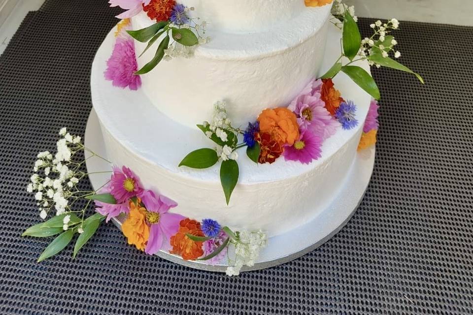 Wedding Cake Multicolor