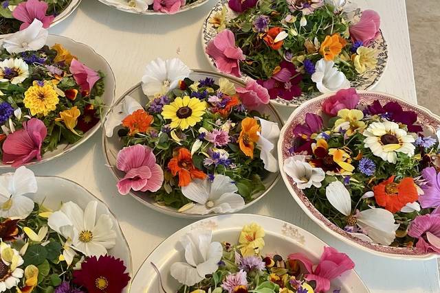Salade fleurs comestibles