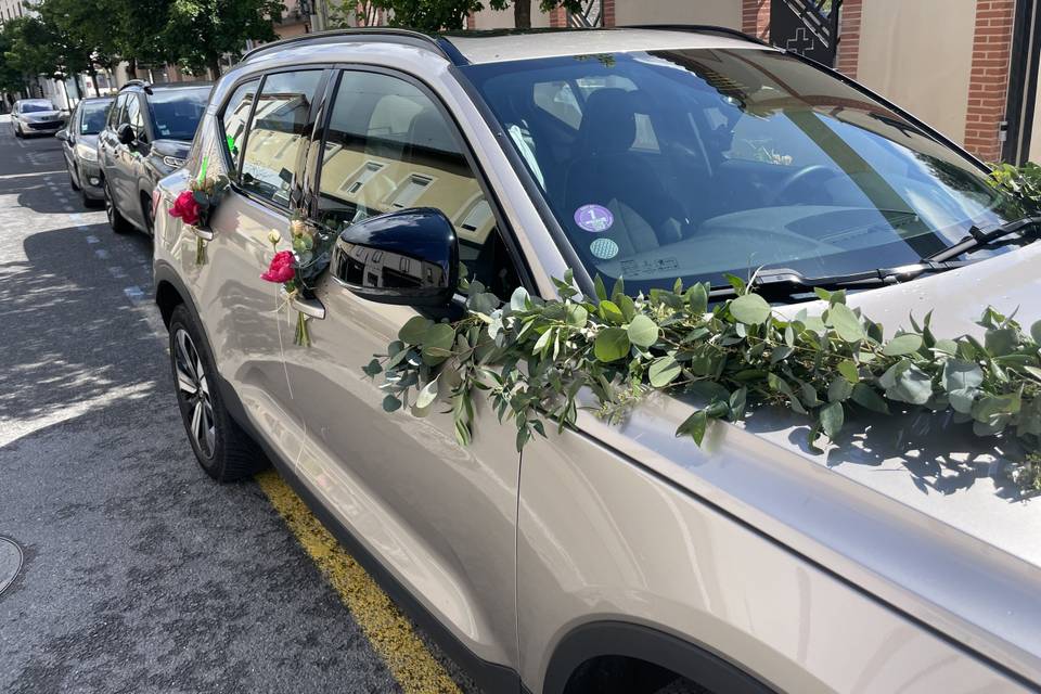 Guirlande feuillage voiture