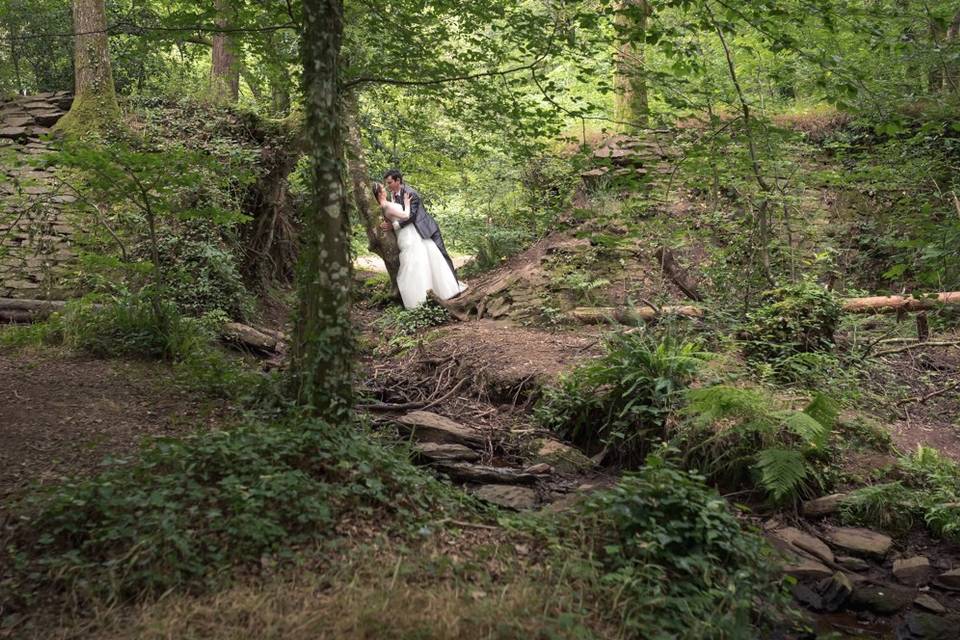 Portrait à Bocéliande