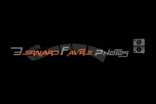 Bernard Favre Photos logo