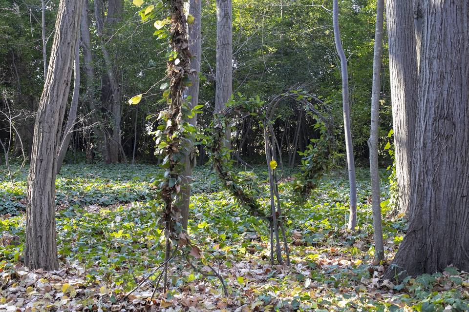 5,9 ha de parc classé