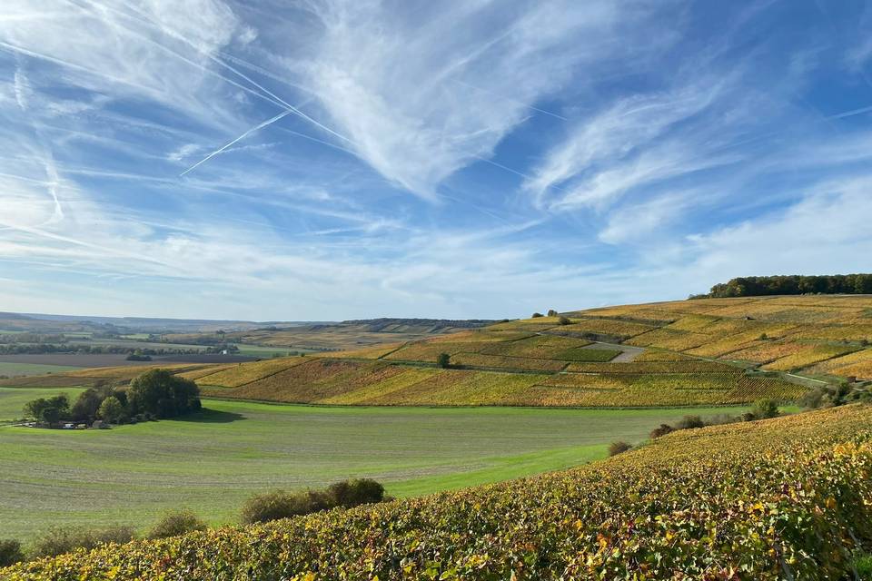 Châtillon sur Marne