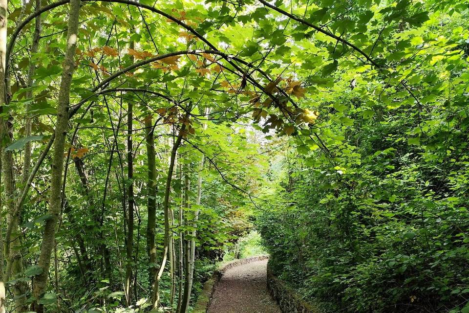 Jardin