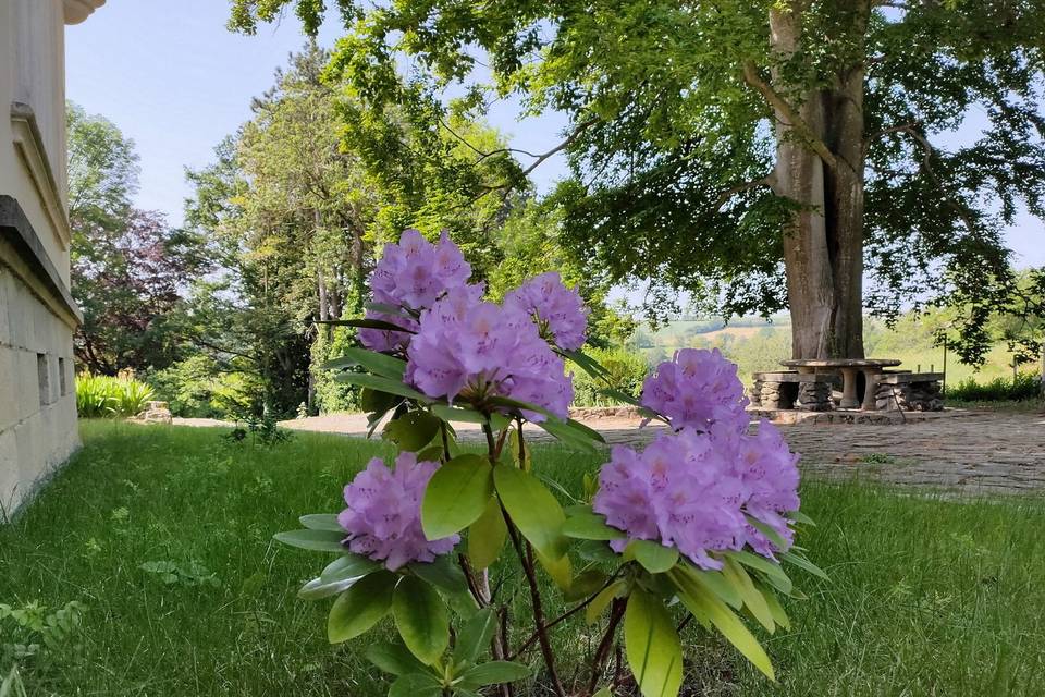 Jardin