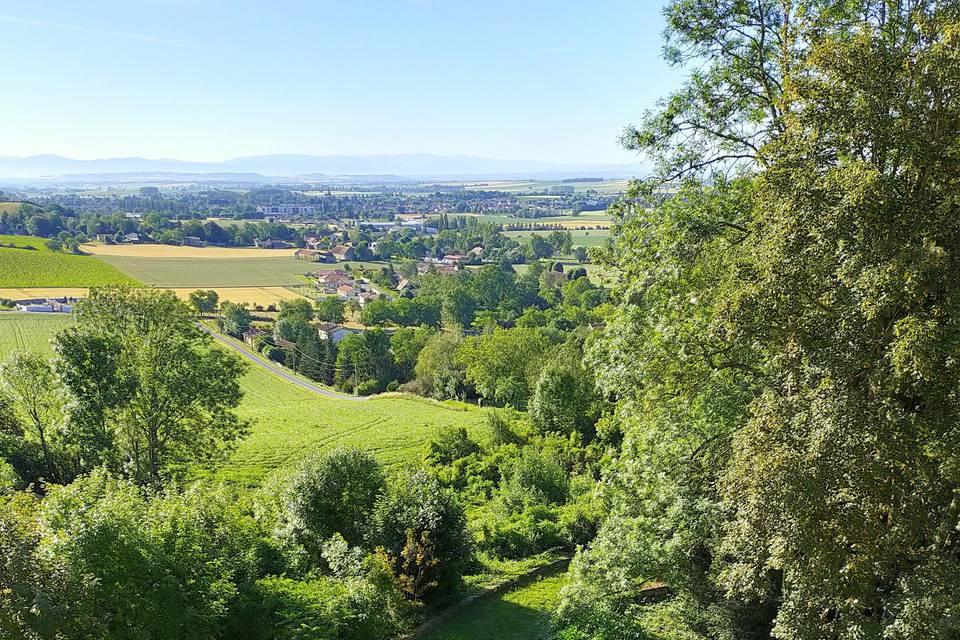 View de la fenetre