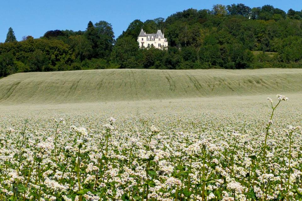 Château des Bérangers