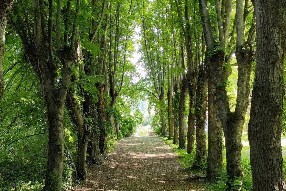 Jardin