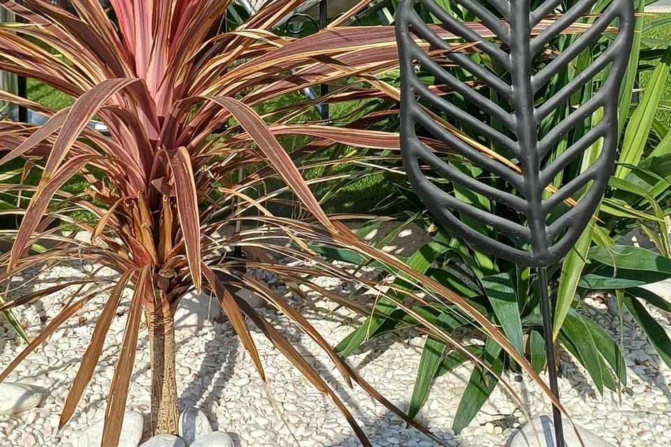 Détail floraison