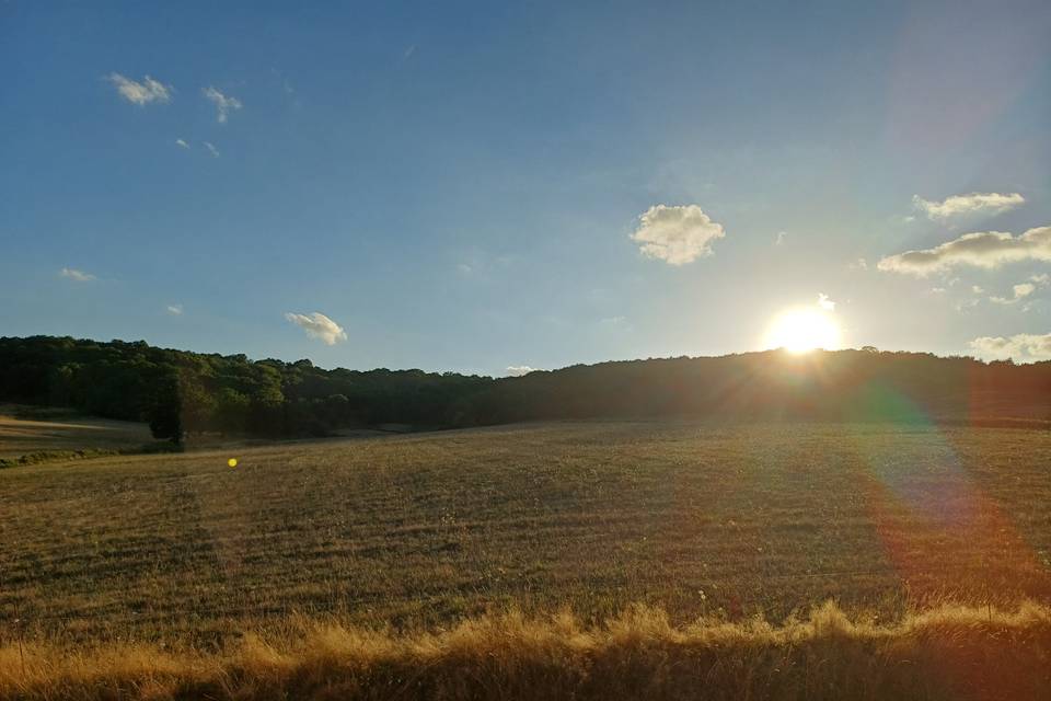 Vue au couché