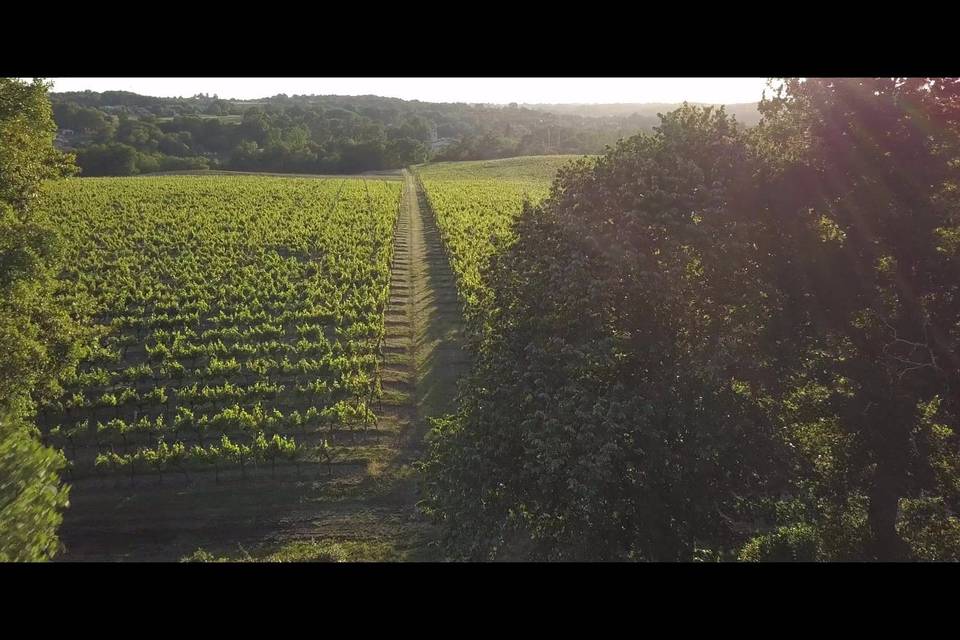 Des paysages vu d'en haut