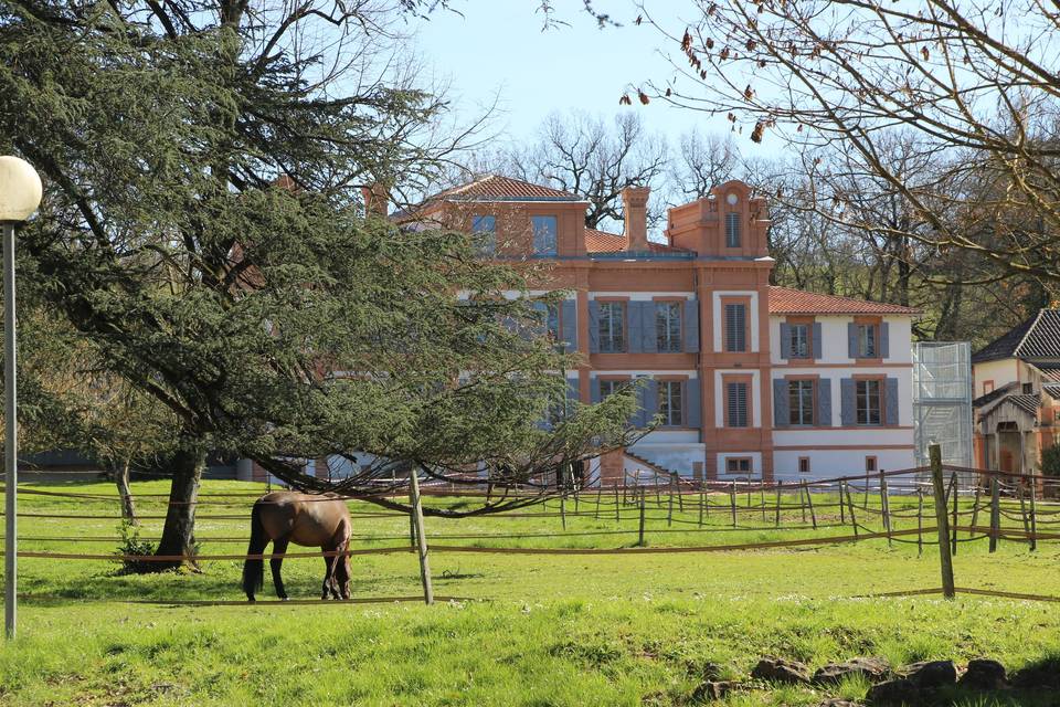 Château