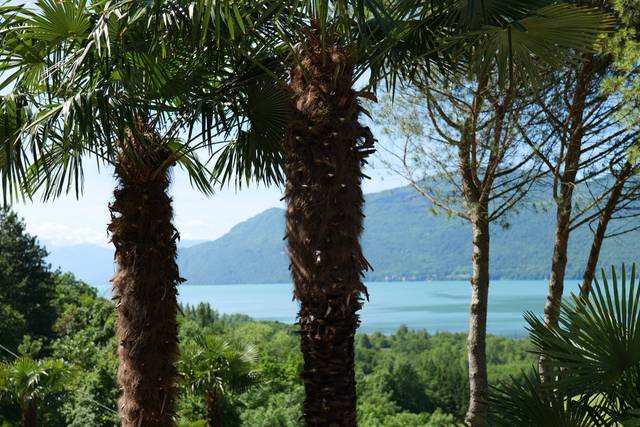 DOMAINE PALMARIVA