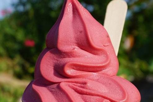 Sorbet aux Mûres