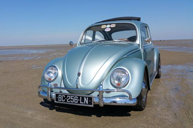 VW Coccinelle