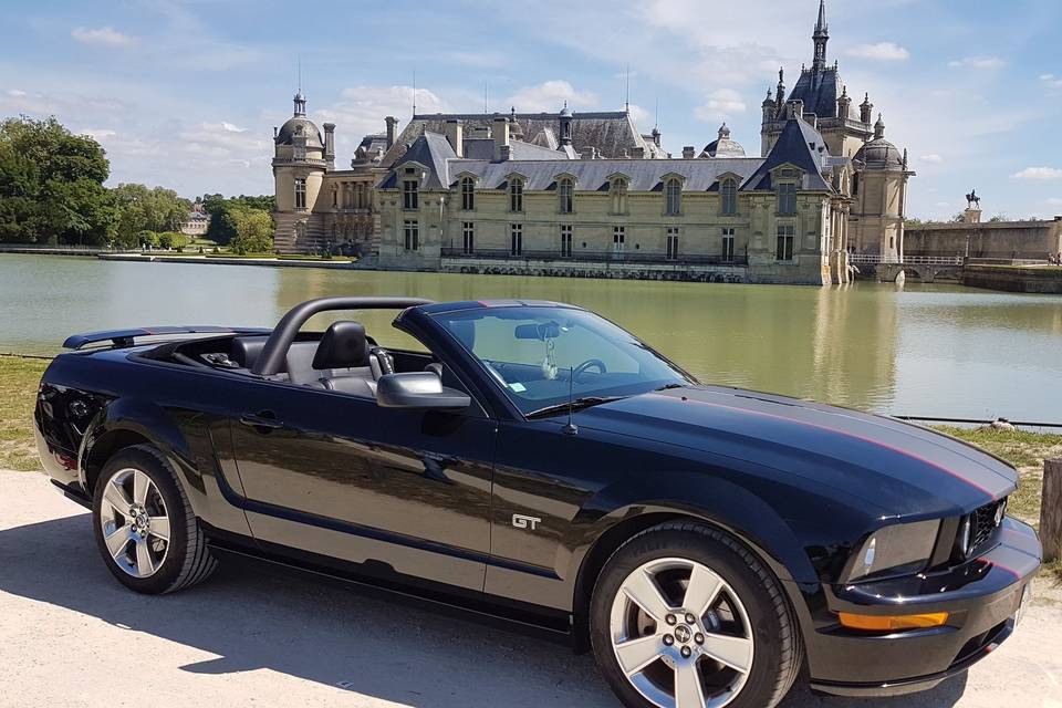 Mustang Chateau de Chantilly