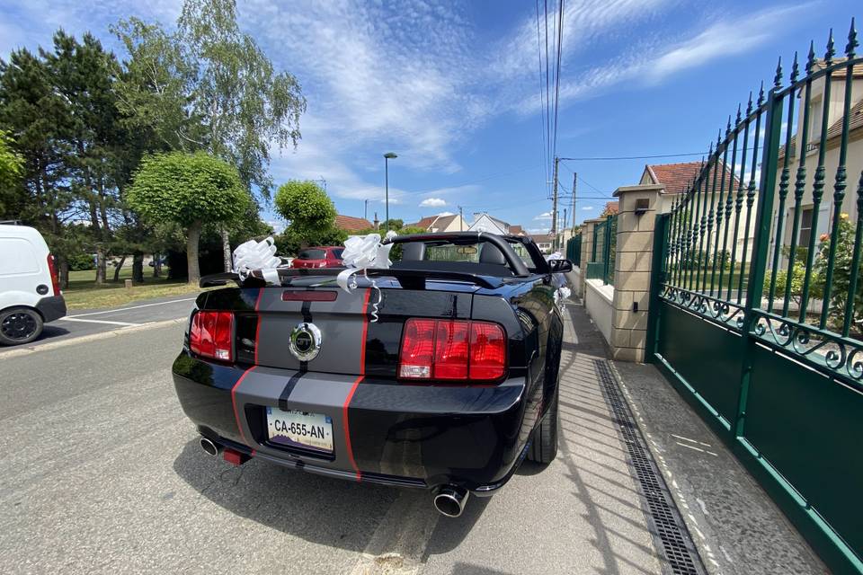 Arrière Mustang décorée