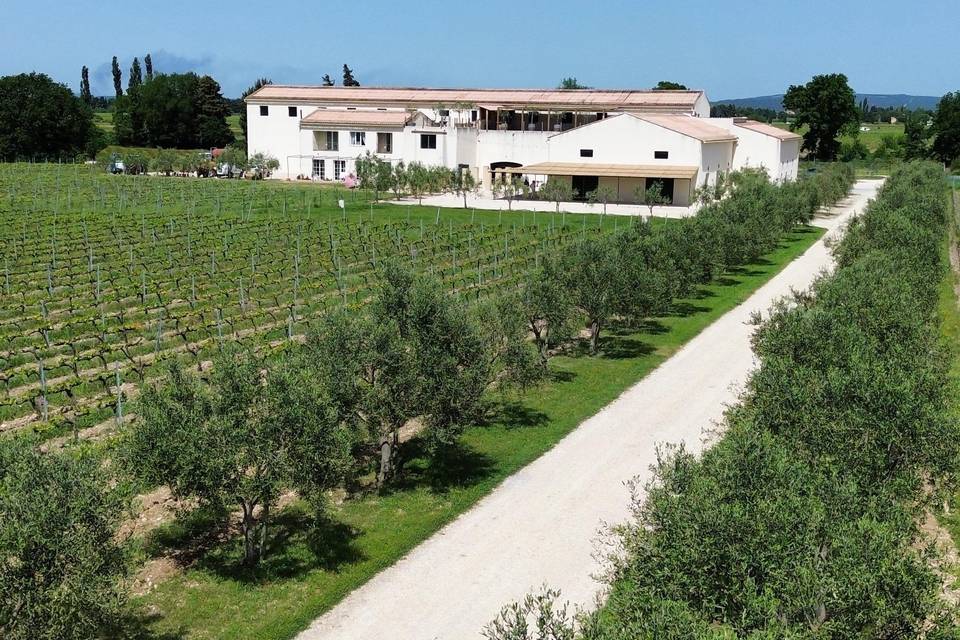 Domaine de Garriguette