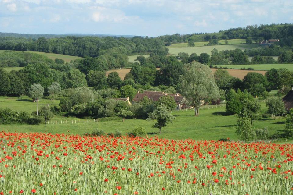 Lauseraie environnement