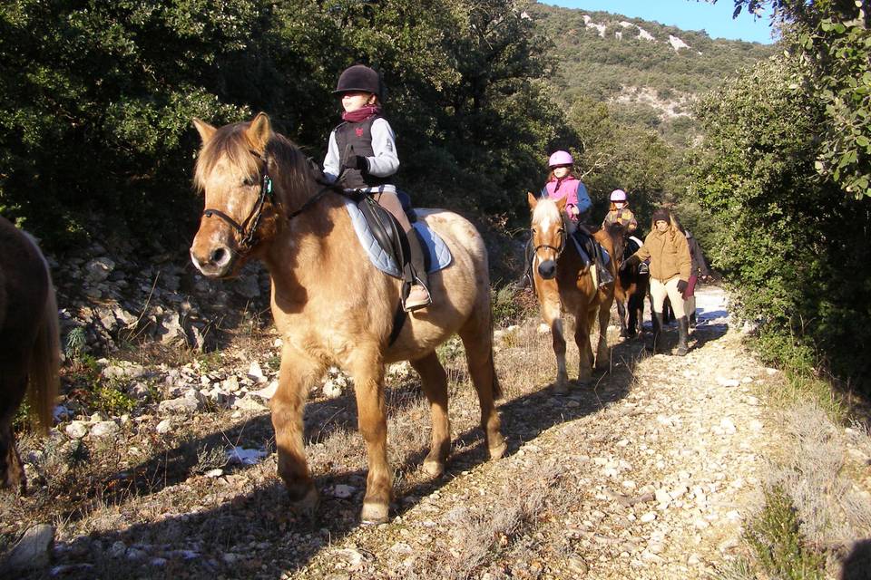 Les activités : équitation