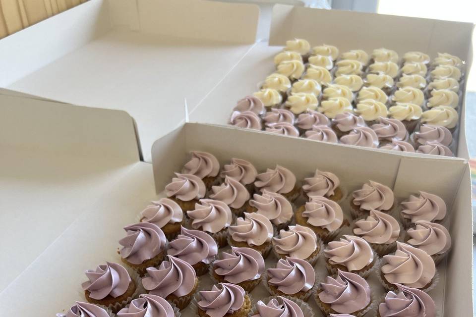 Mini cup cakes