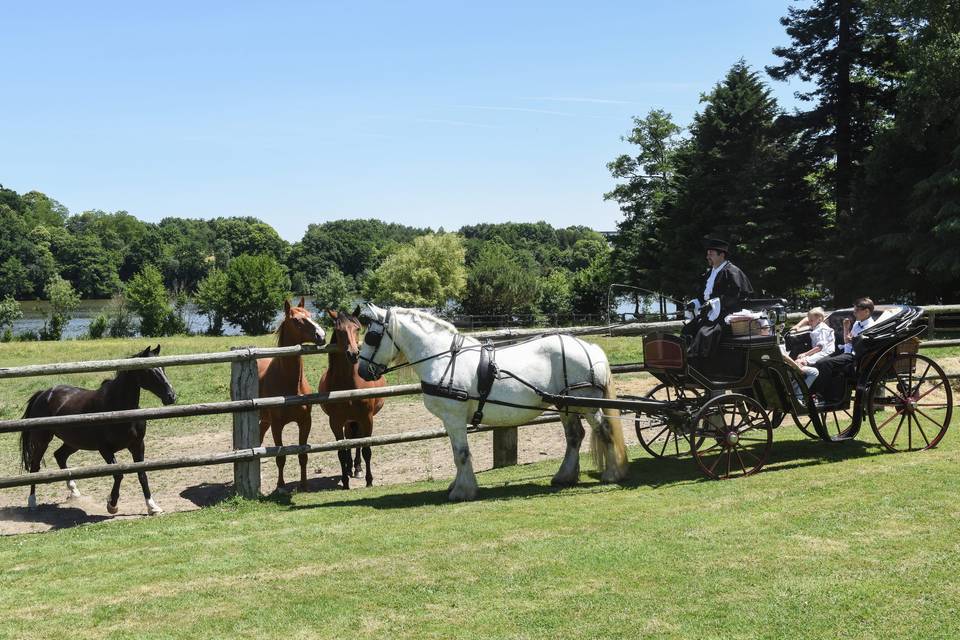 Arrivée en calèche