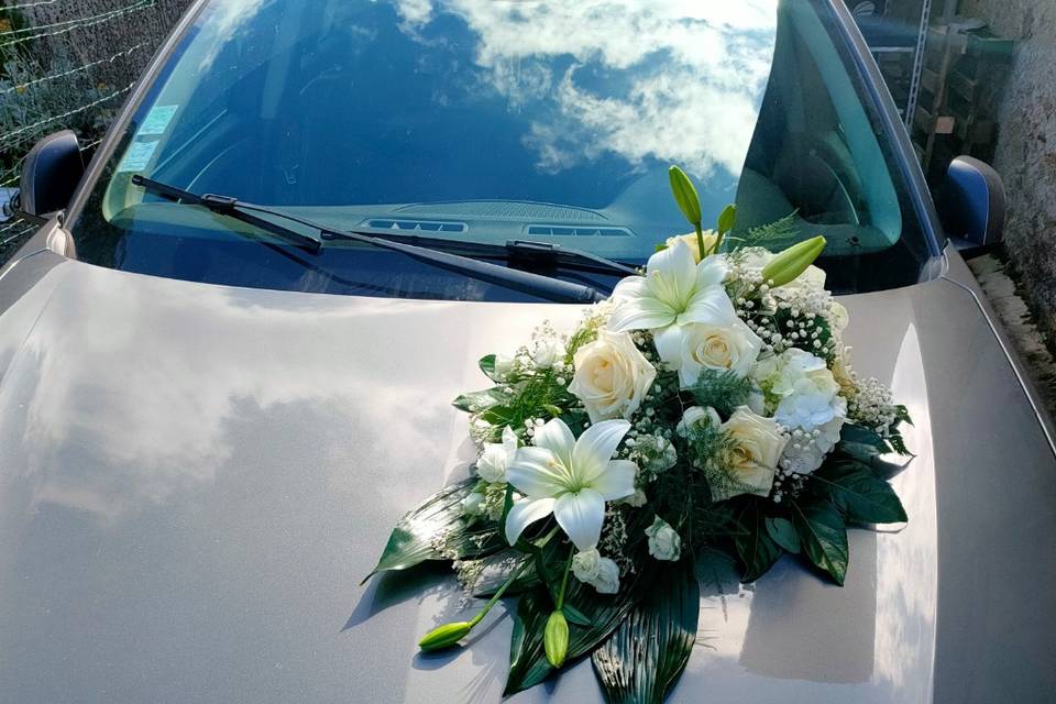 Décor de voiture