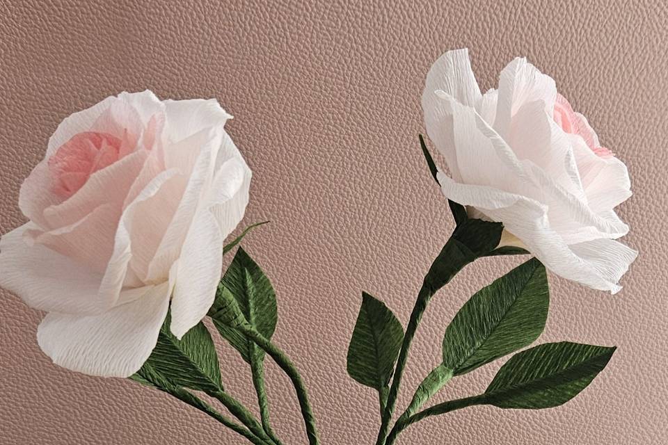 Roses en détail