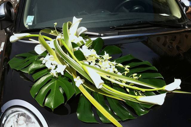 Décoration voiture